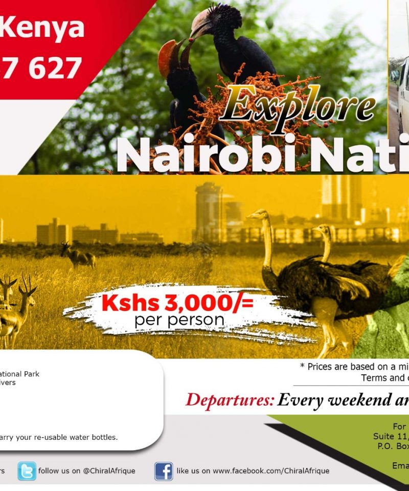 Nairobi National - Experience the park in 4 hours.