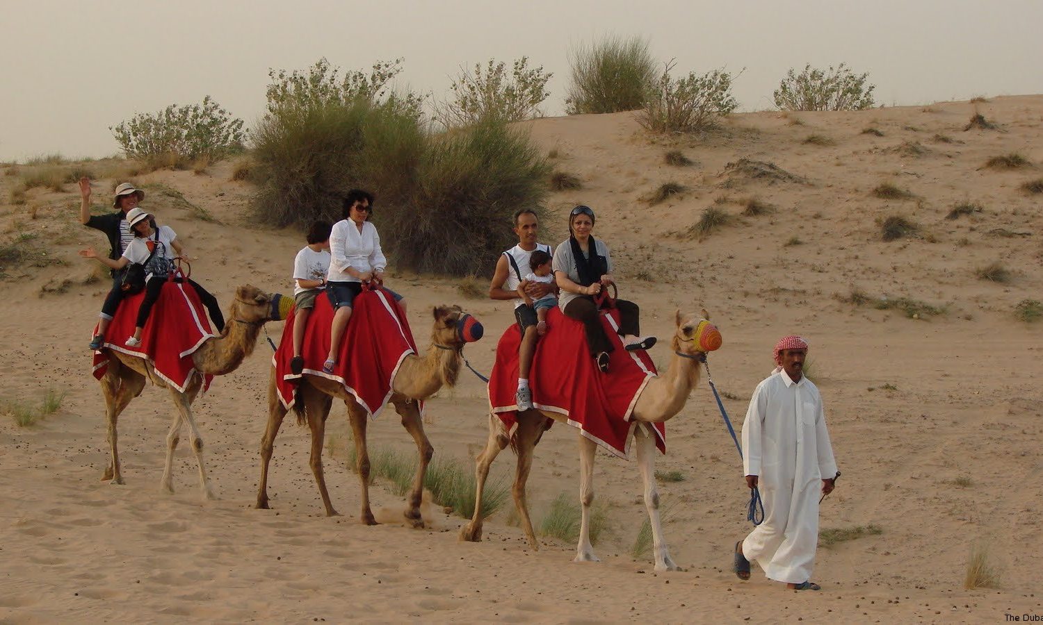 camel riding in dubai safari camp
