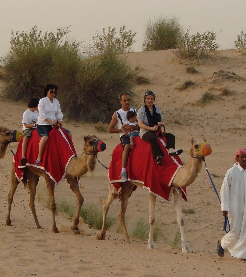 camel riding in dubai safari camp
