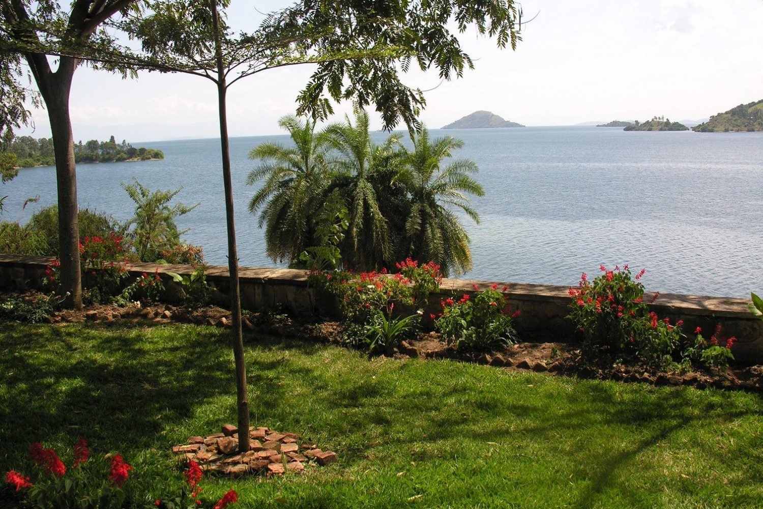 029241242170044012197052139233122118016088185126 1