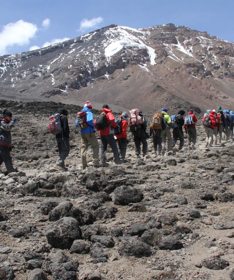 Kilimanjaro Rongai route trekking