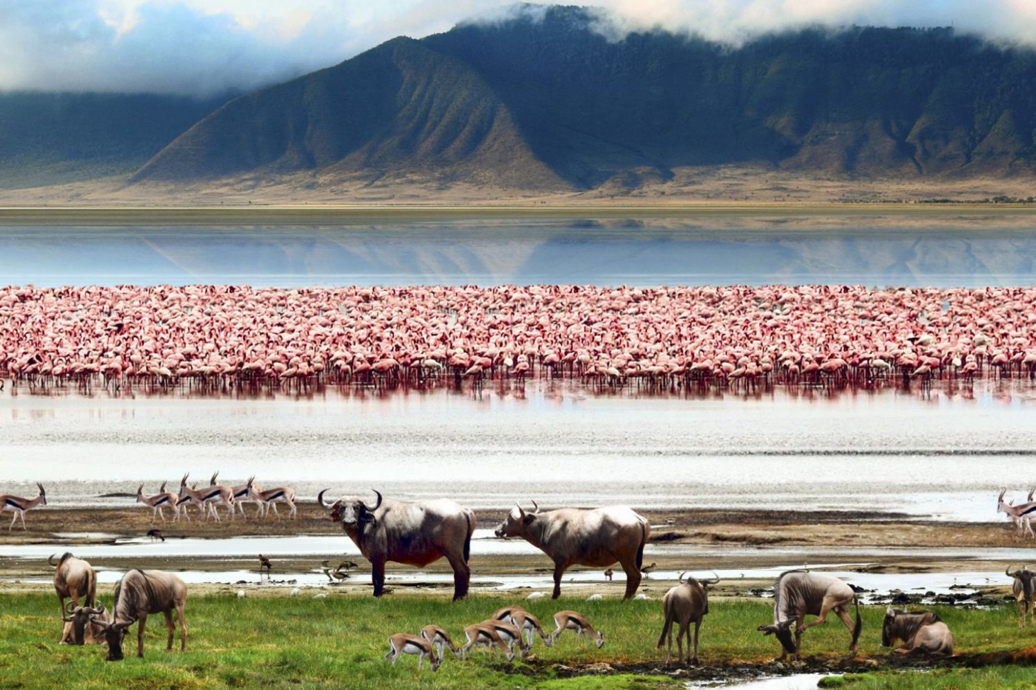 Manyara nat park 1
