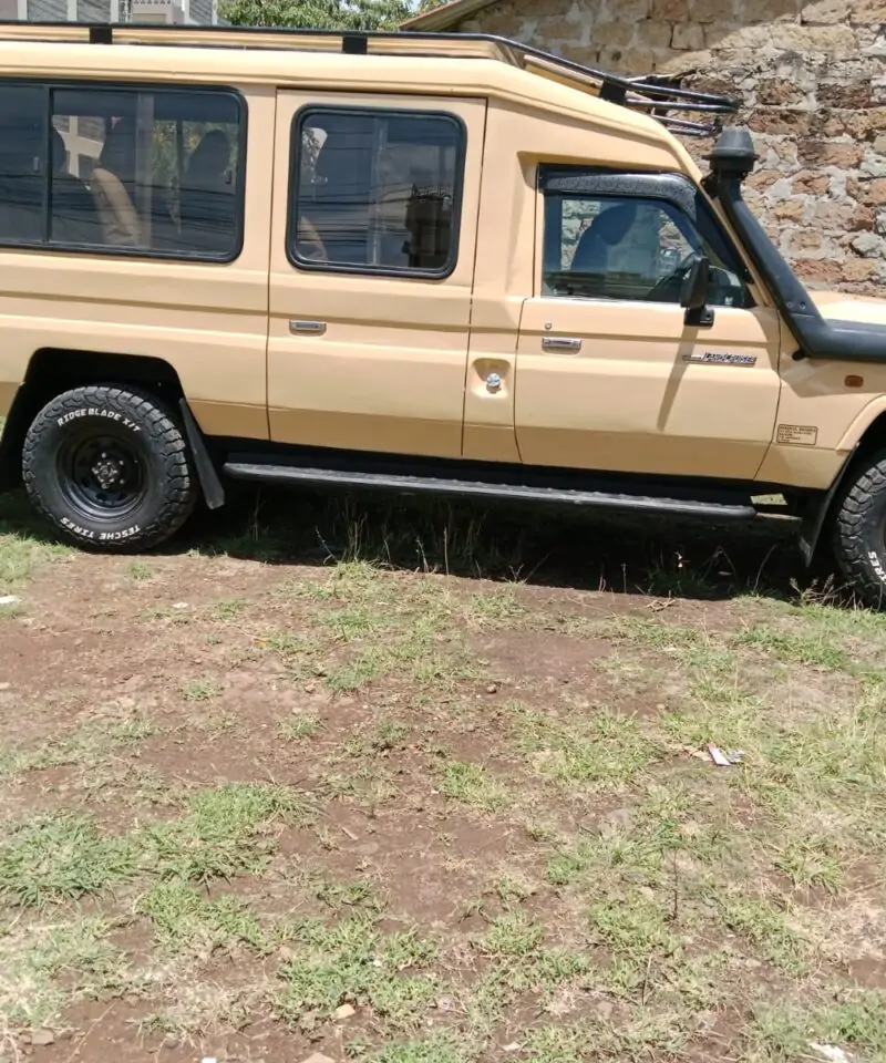 cruise