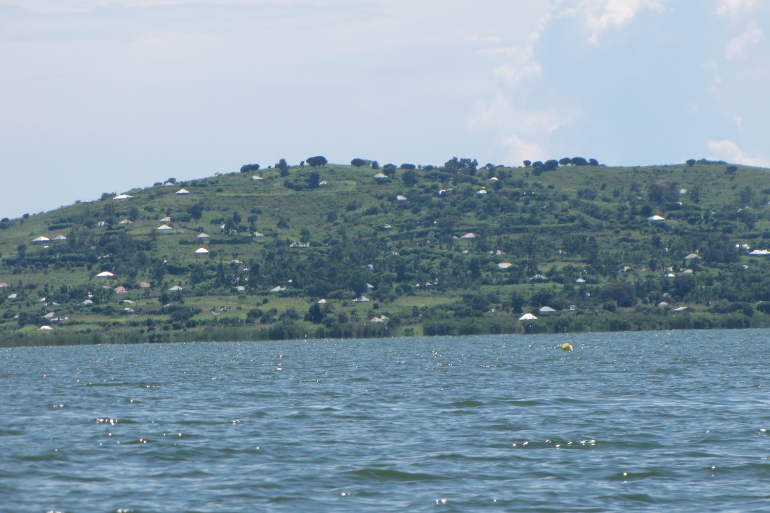 img 4547