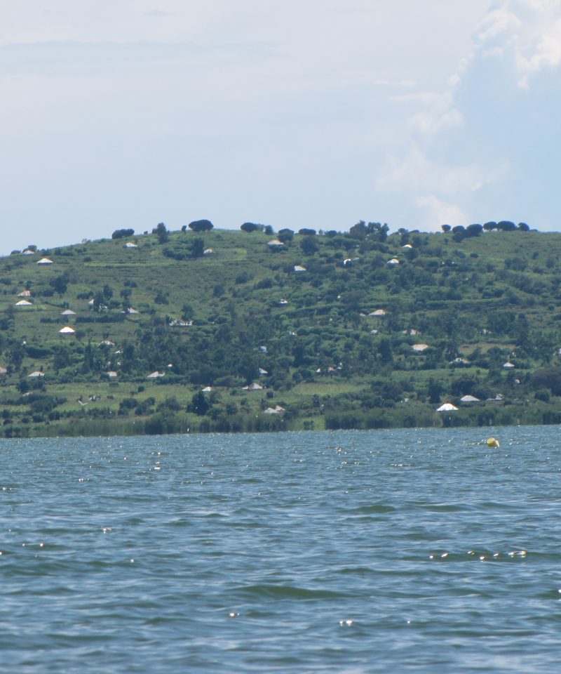 img 4547