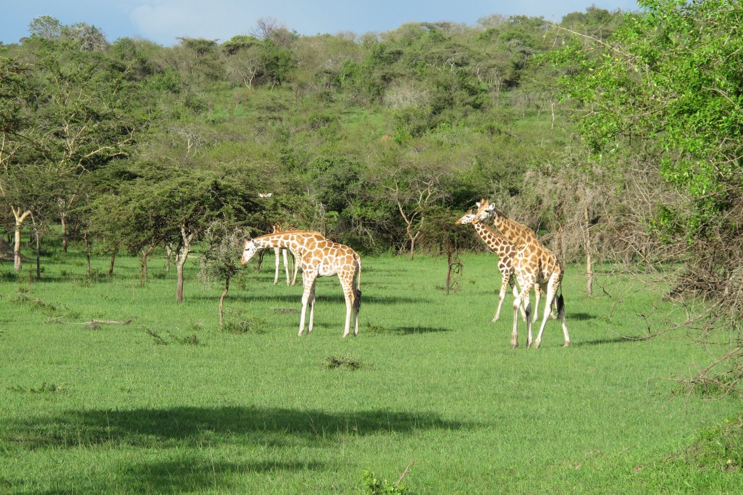 lake mburo safaris 6