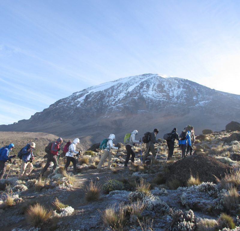 marangu route kilimanjaro 1024x768 1