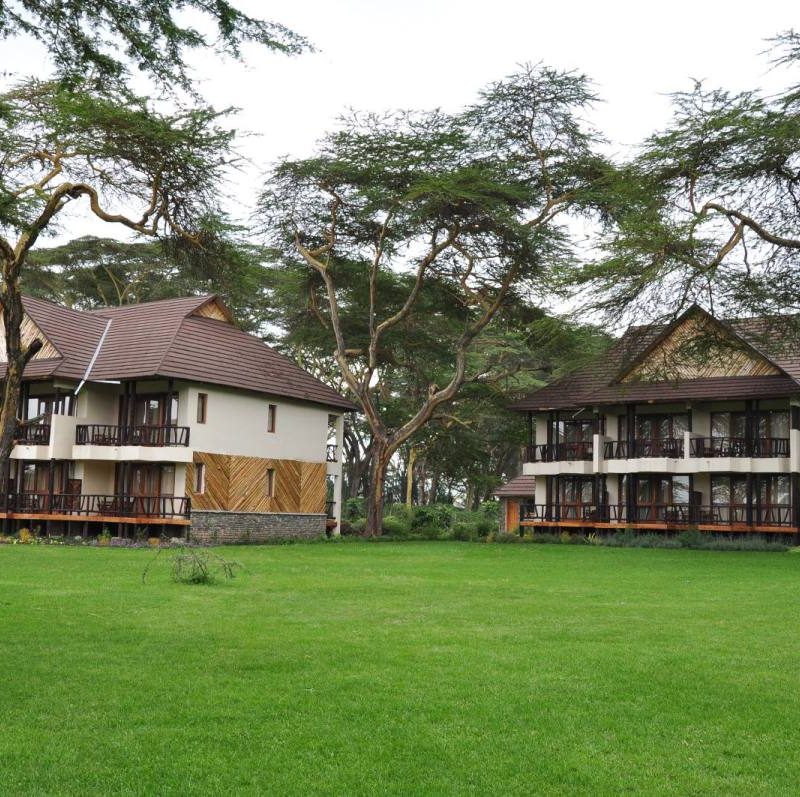 naivasha sawela lodge grounds