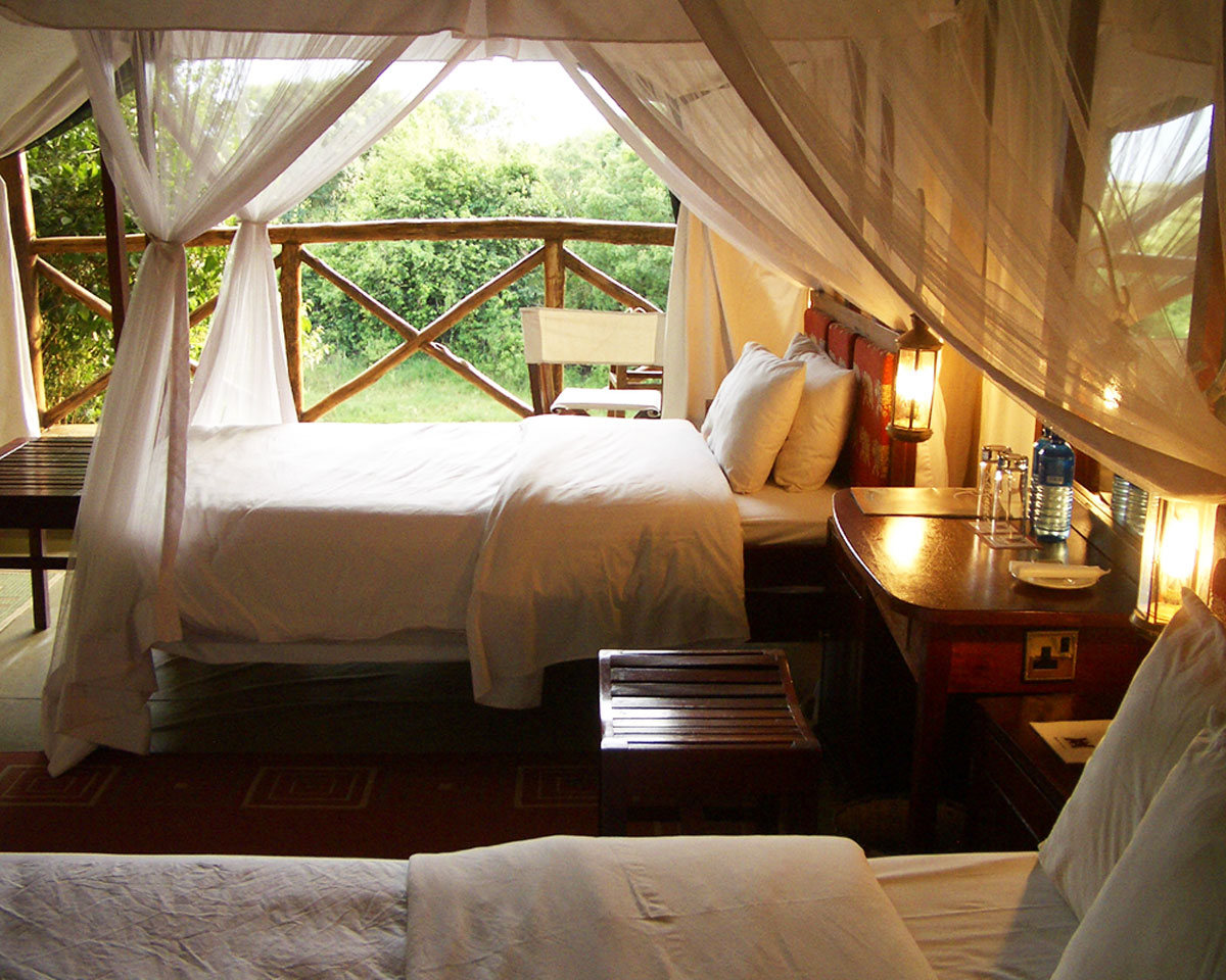 Fig tree camp Masai Mara
