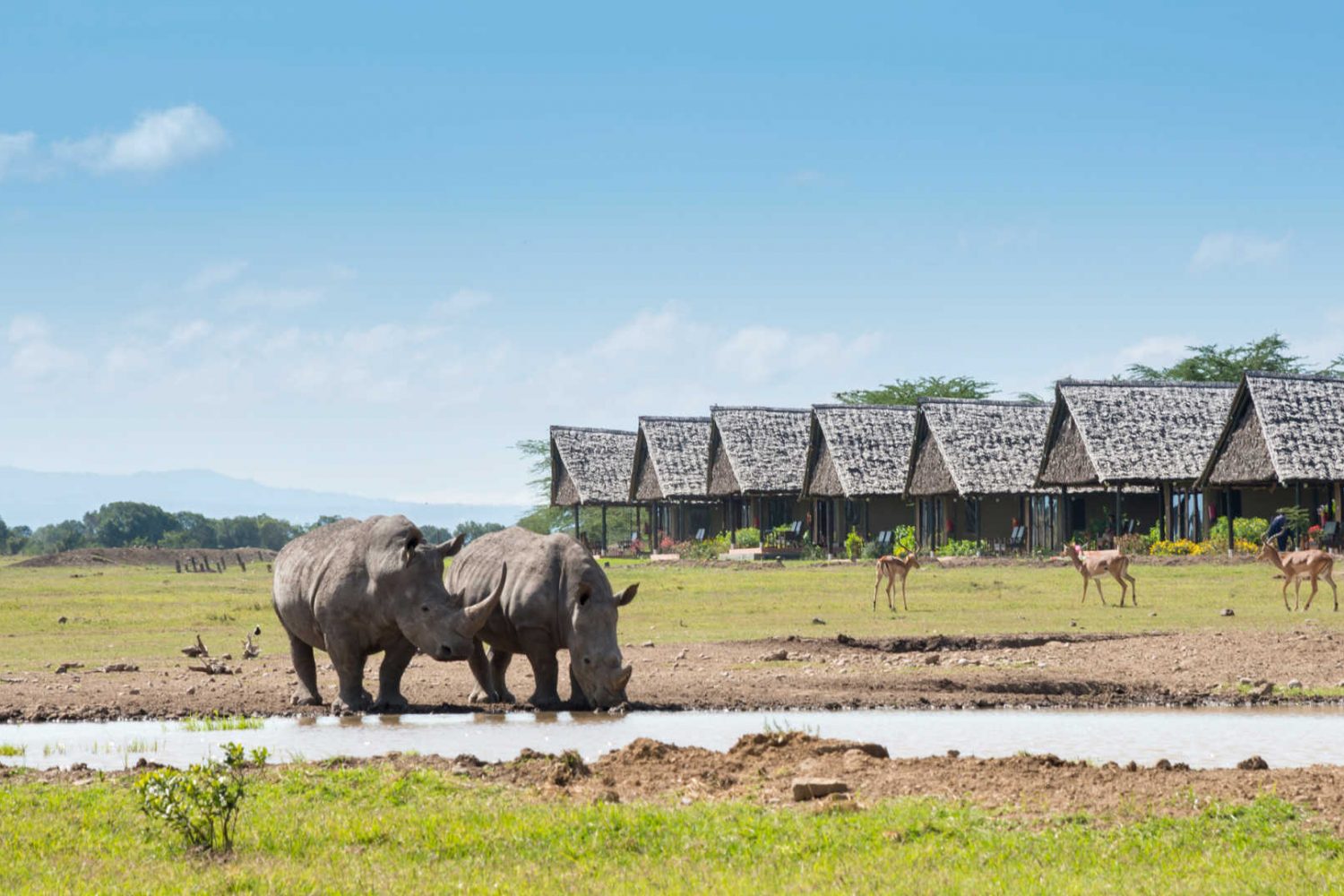 Olpejeta