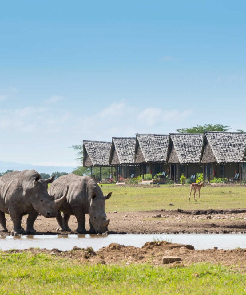 Olpejeta