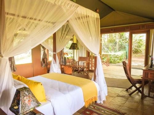 Simba Oryx Camp