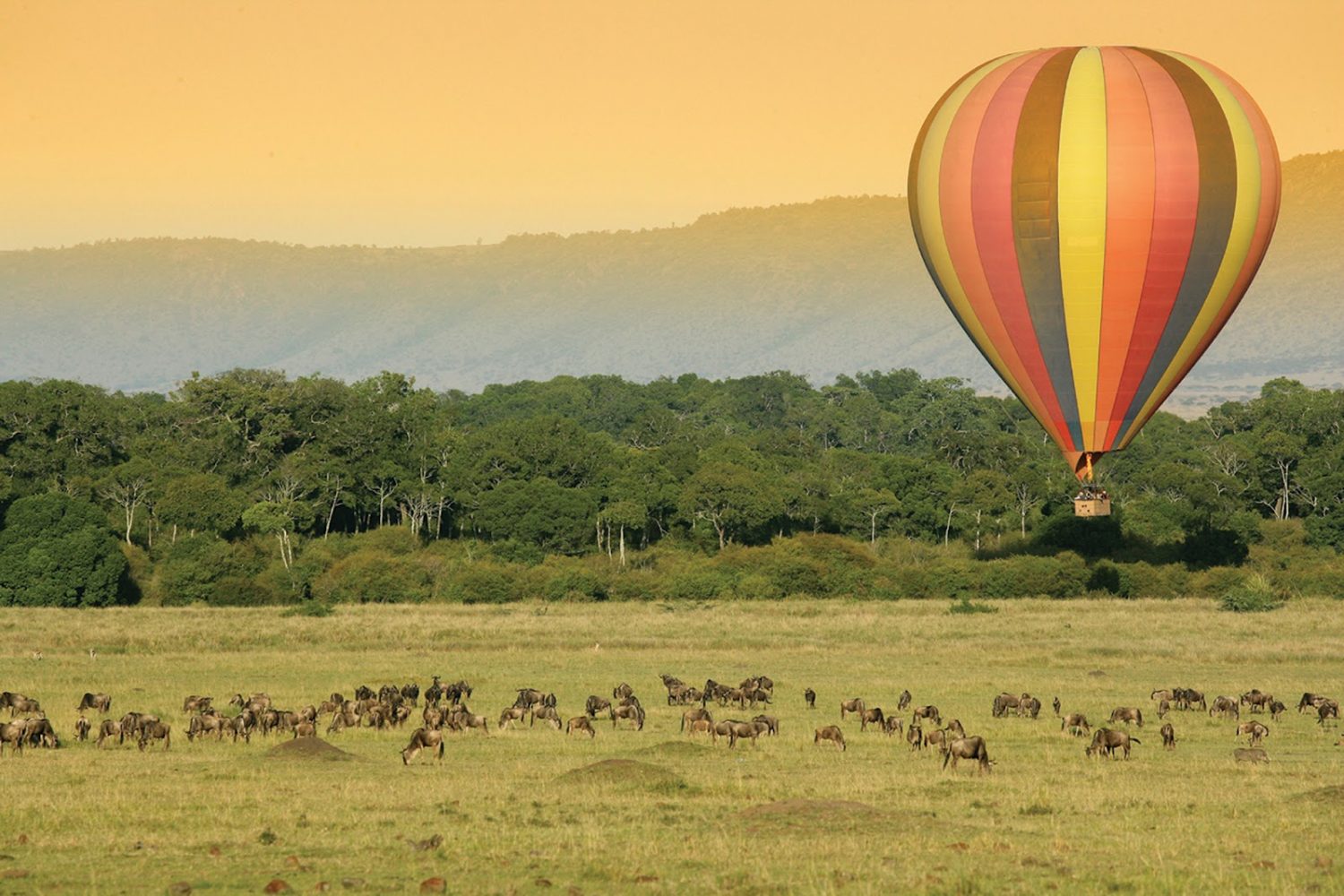 Take a Ballon Flight Over the Masai Mara