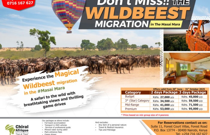 Masai Mara Migration 2025