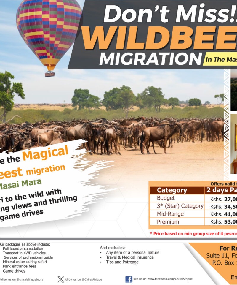 Masai Mara Migration 2025