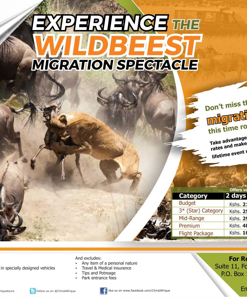 Don't miss the wildebeest migration in the Masai Mara 2024
