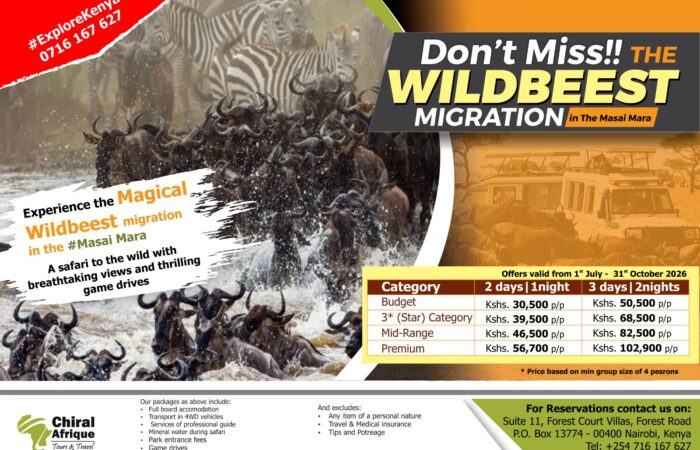 Wilderbeest Migration