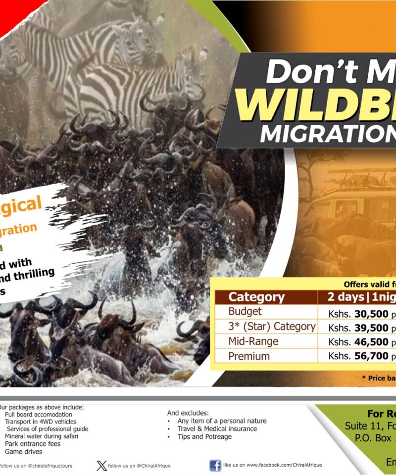 Wilderbeest Migration