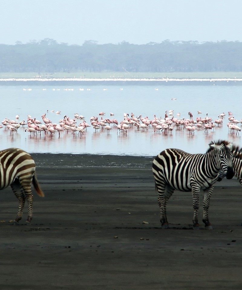 lake manyara national park 3