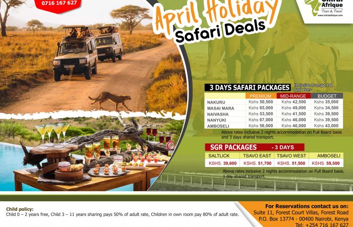 Treat yourself to a safari this April. Sample our April holiday safari deals. Choose between the road package or SGR package.