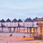 Salt Lick
