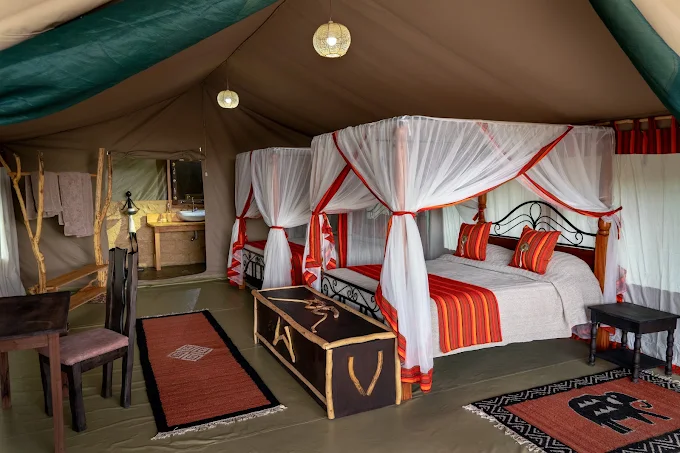 MARA BIG FIVE MARA BIG FIVE