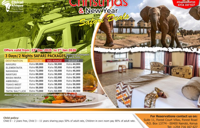 Christmas Safari Deals