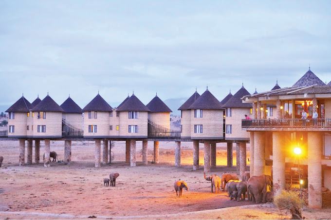 Salt Lick