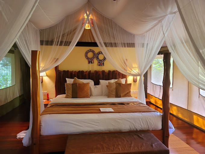 mara sarova