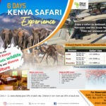 6 Days Kenya Safari Experience