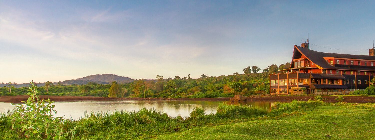 The-Ark-signiture-picture--x