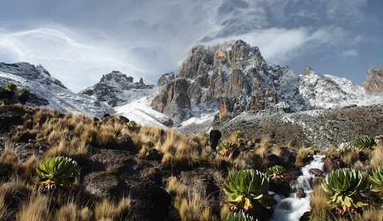 mt kenya